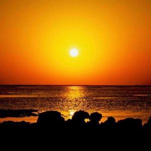 Meet your Posher, Claudia